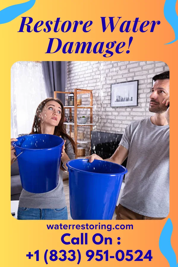 water restoration Precision Disaster Cleanup Professionals Chilton
