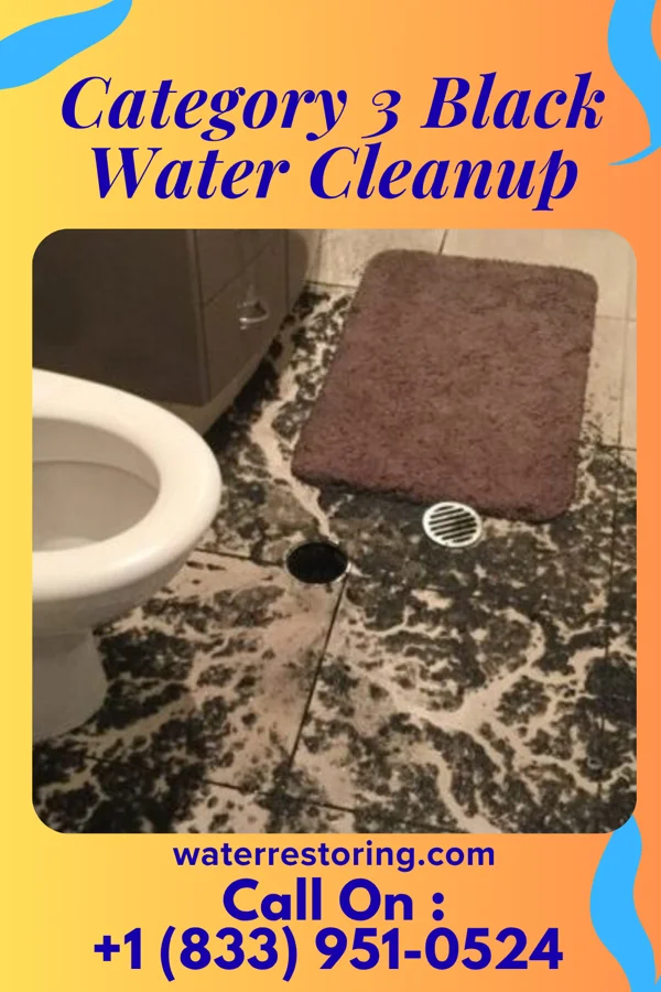 Category 3 Black Water Cleanup in Chilton, WI