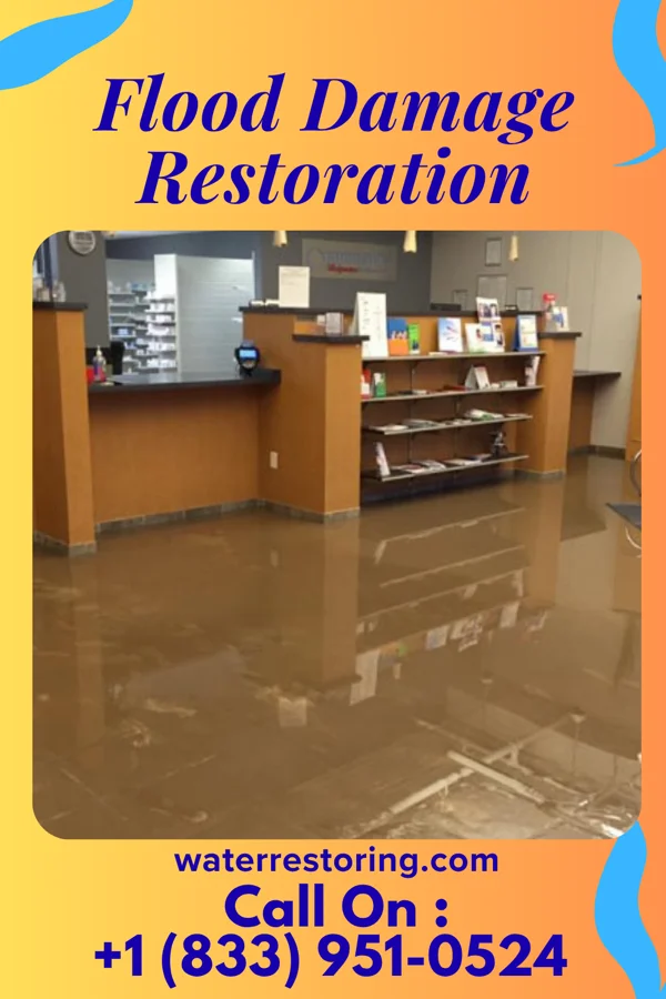 Flood Damage Restoration in Chilton, WI