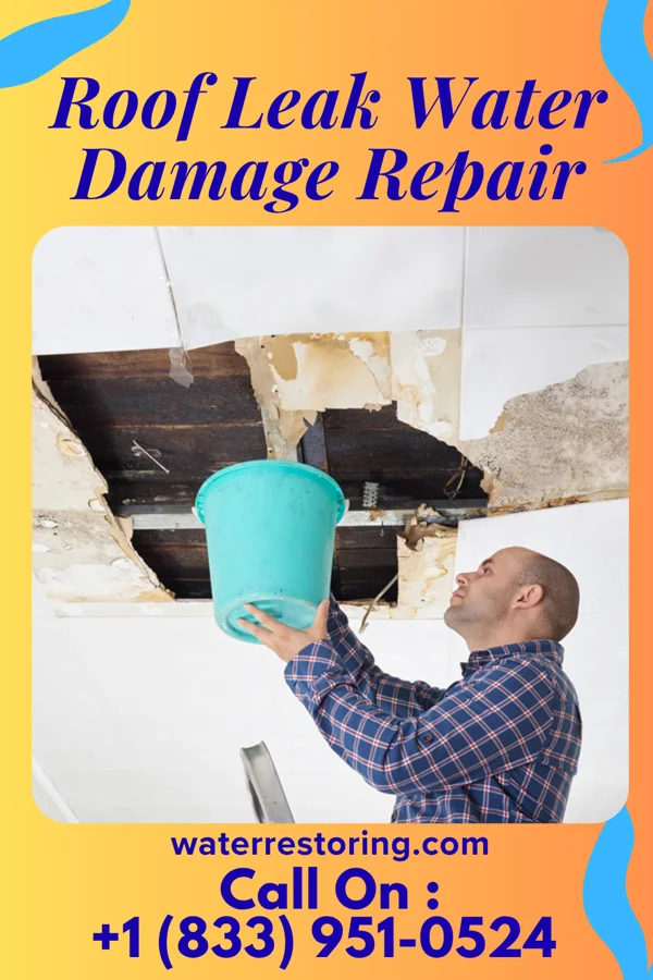 Roof Leak Water Damage Repair in Chilton, WI