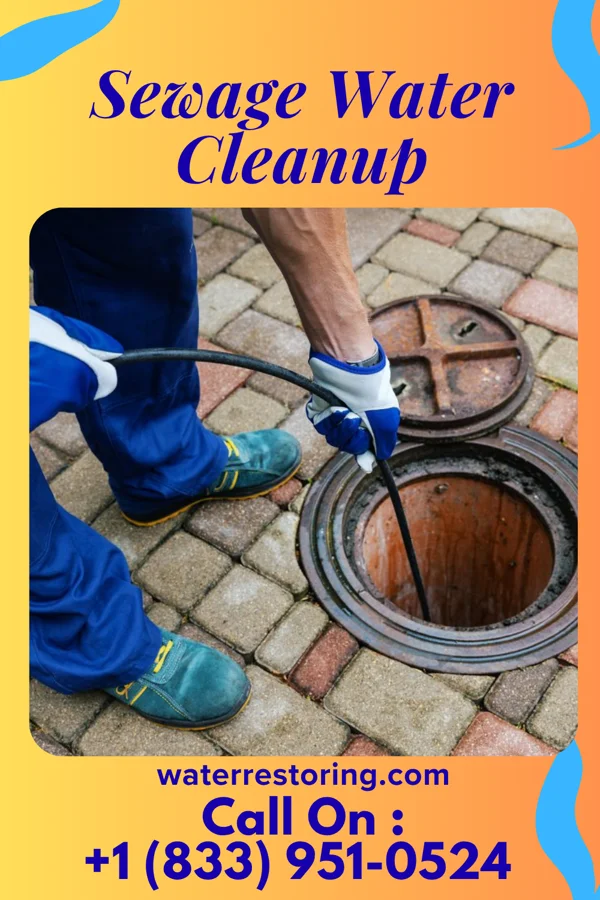 Sewage Water Cleanup in Chilton, WI